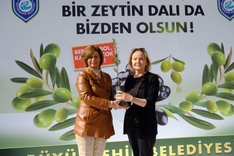 Sakarya Vadisi’nde 435 dekarlık zeytin bahçesi oluşturulacak.