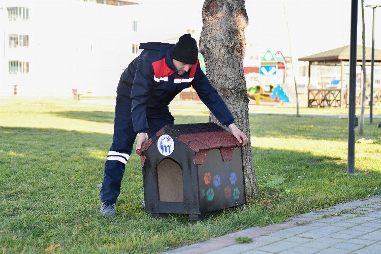 Kedilerin sıcak evi Bursa Mustafakemalpaşa'dan