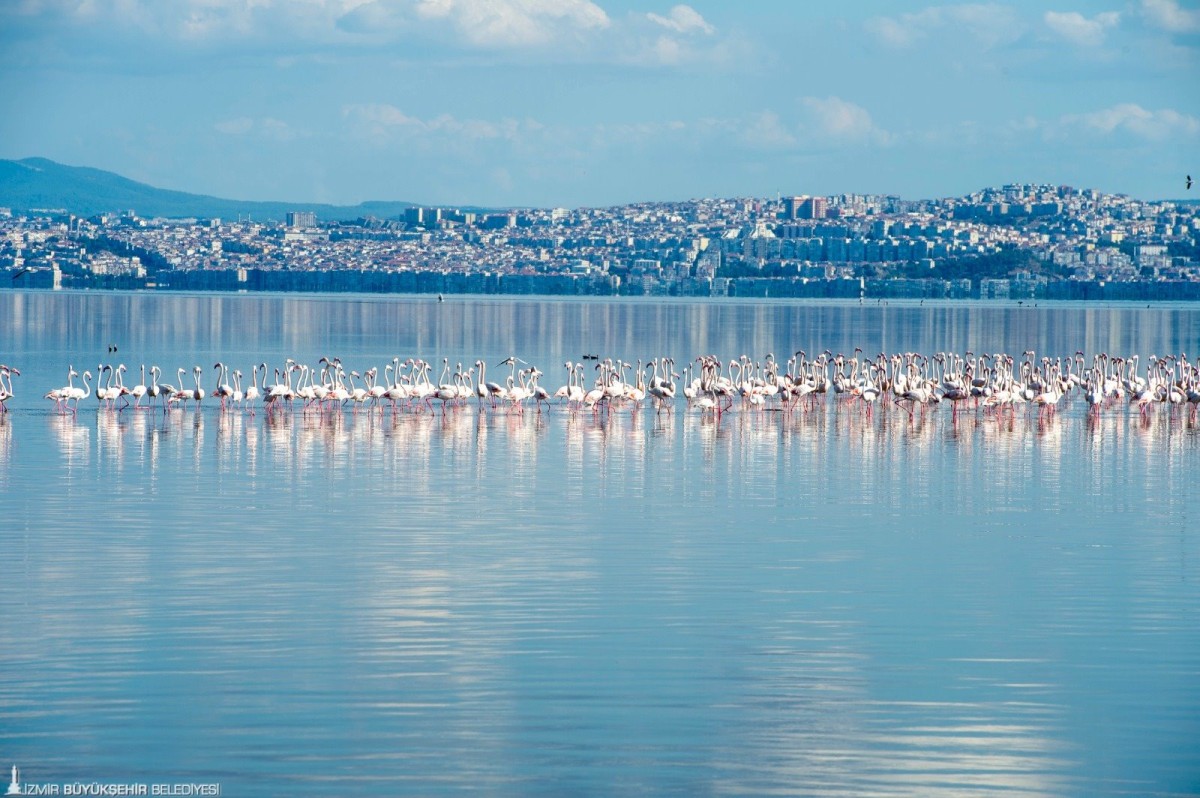 “İzmir Körfezi’nde müsilaj sorunu yok.